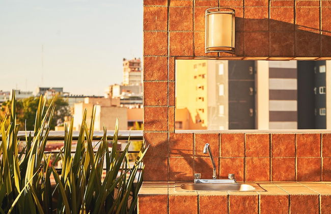 Dodo Horizontes Chapultepec - Foto 36