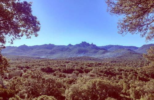 Eco Lodge nella natura Con Piscina privata "La Grande Quercia" - Foto 50