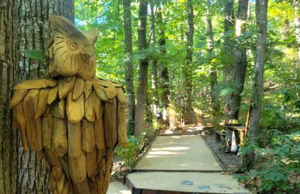 Les Chalets des Bois - Foto 20