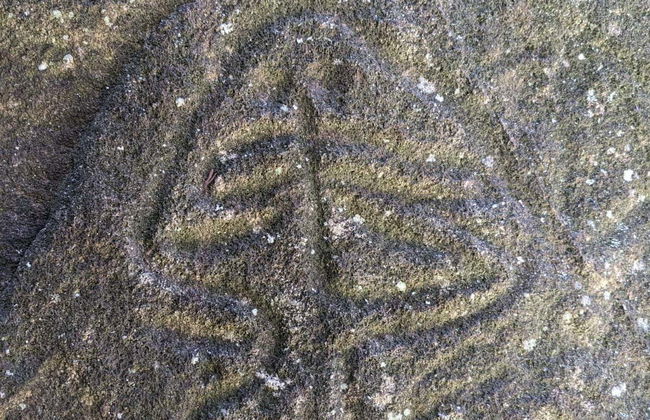 La Piedra Letrada Petroglyphs Day Trip - Photo 5