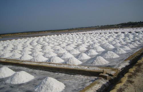 Residence San Paolo - Foto 67