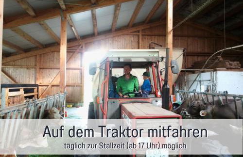 Bauernhof Finkel - Ferienwohnungen mit Balkon - Bergsicht - Traktor mitfahren - Tiere streicheln - entspannter Familienurlaub - zentrale Lage nahe Oberstdorf - Photo 57