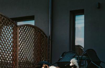 Jeleni Jar Apartamenty - Foto 23