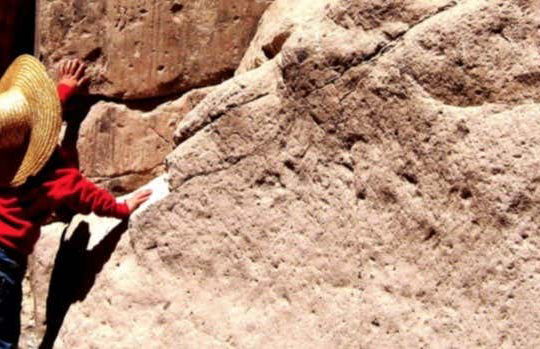 Red Lagoon Tour - Photo 5