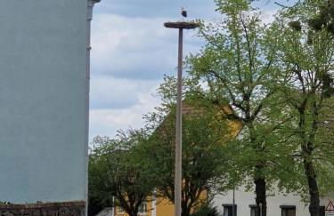 Ferienwohnung Wroblewsky - Foto 20