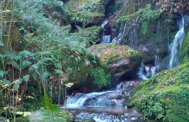 Casa o Furco - Foto 39