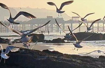 Spacious two bedroom, two bathroom Beach Nest with garden - Foto 7