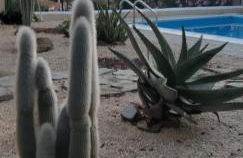 Casa Logos Stintino - Private pool - Foto 63