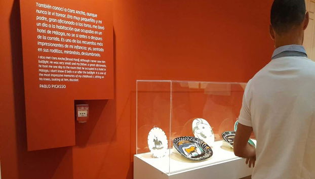 Picasso Casa Natal Museum Ticket - Photo 5, Bullfighting exhibition