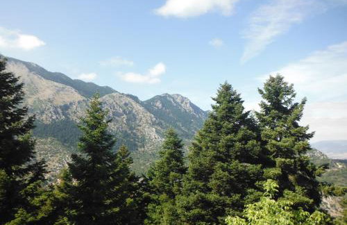 Archontiko Kastellia - Stone Guesthouse with Fireplace and Mountain View - Foto 17