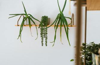 Breathtaking High Street Townhouse With Stunning Sea Views at 'The Old Fishermans Townhouse' - Foto 24