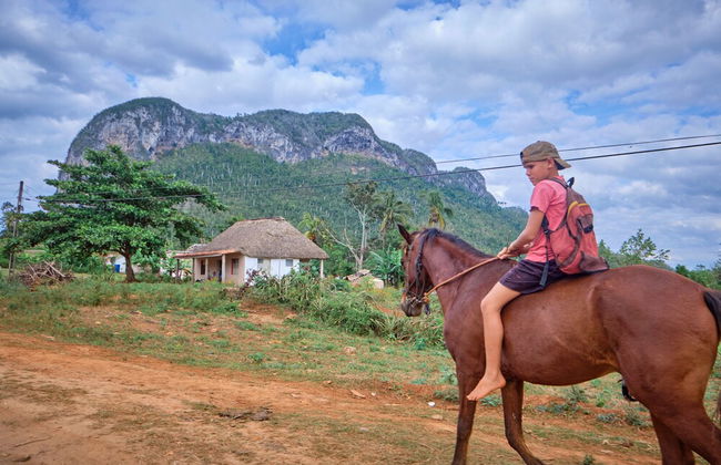 Villa in Viñales with garden and terrace - Foto 23