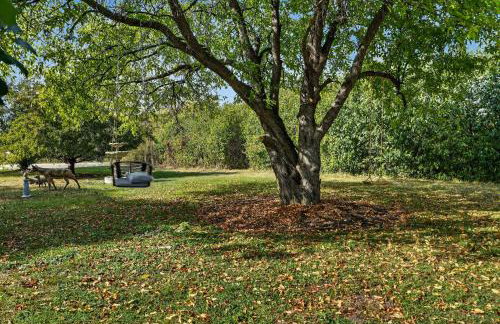 Greenway Getaway-Private Huge outdoor fun, Game,Navy - Foto 32