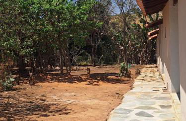 Suítes Recanto das Flores 1 - Foto 11