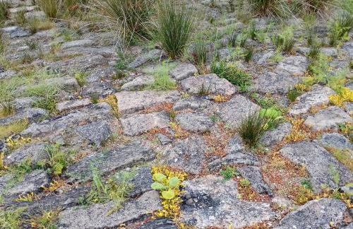 Chez Emile - Foto 17