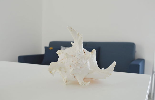 Appartamenti Oltremare - Foto 31