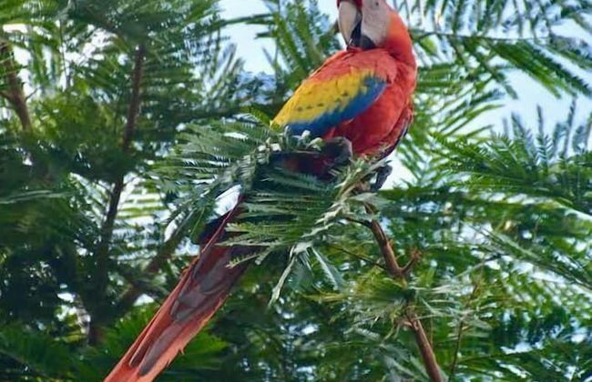 Casa Amable by Ronny's place - Manuel Antonio - Foto 22