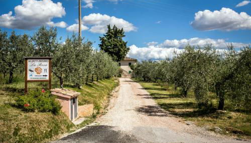 Agriturismo La Rosa Montefalco - Foto 4