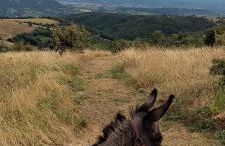 Gîte Les Cadichons de la Grange - Foto 19