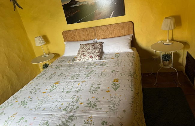 Oasis Hill Botanical Garden - Foto 14