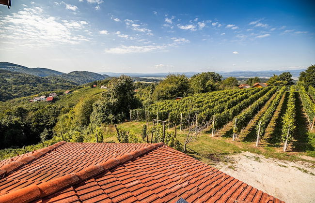 Vineyard Holiday House Kerin - Foto 18