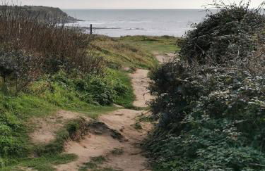 Le jardin de la mer - Foto 8