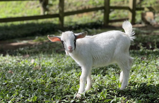 HACIENDA ILUMINADA ECO RETREAT - Foto 22