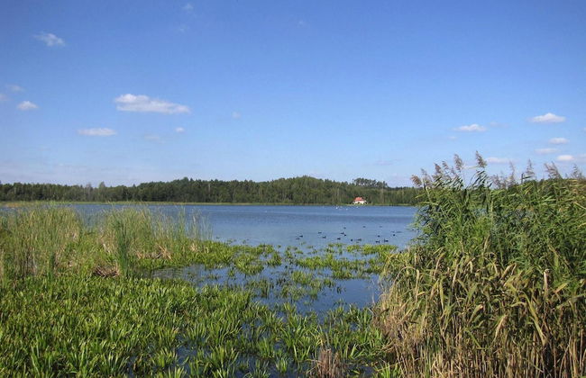 Holiday Home by Lake Wilkasy With Rowboat - Foto 36
