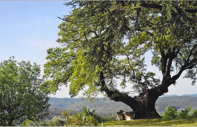 La Chesnaie - Foto 37