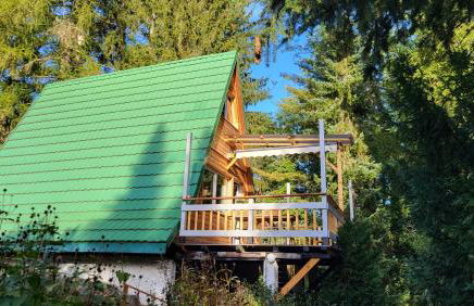 Finnhütte zwischen Wald und See - Foto 1