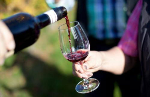 Villa in Seenahe Badesee Ehmetsklinge - Foto 35