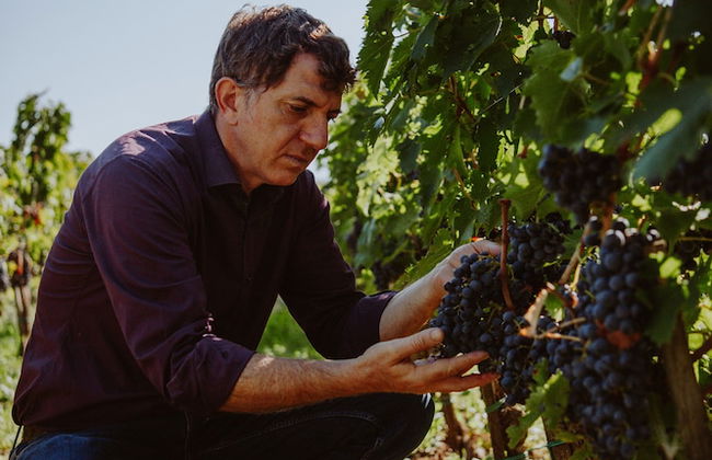 Tenuta Pianirossi - Photo 77