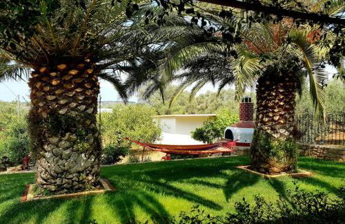 Aloni Home - Foto 21