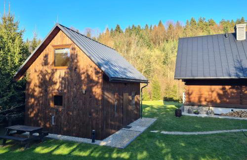 Domek w Bieszczadach Mchawa 144 - Foto 4