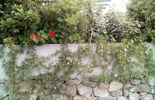 Always on Foot 3 min to the Beach Center With Double Terrace - Photo 40