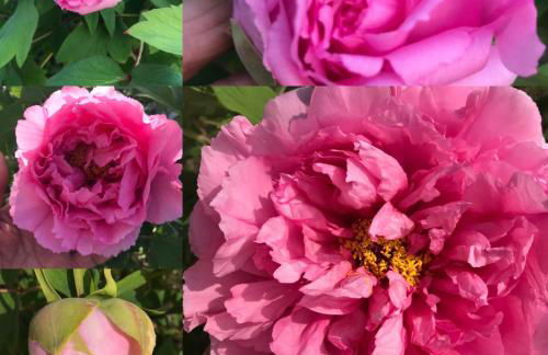 La Casa di Franco - Photo 13