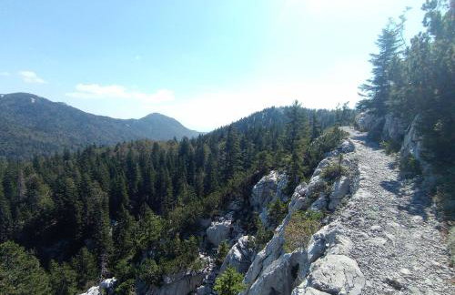 Kuća za odmor Dangubica - Photo 38