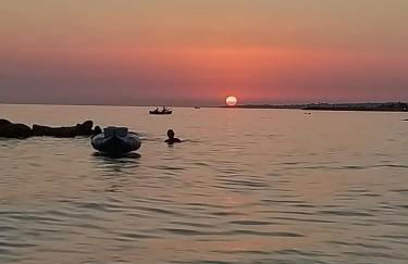 Hibiscus Rosso - Foto 28