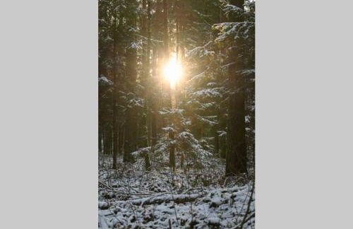 Apartament w Puszczy Białowieskiej - Foto 22