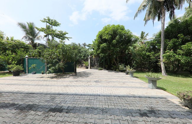 Morning Guest can see Momkeyies and Birds - Foto 28