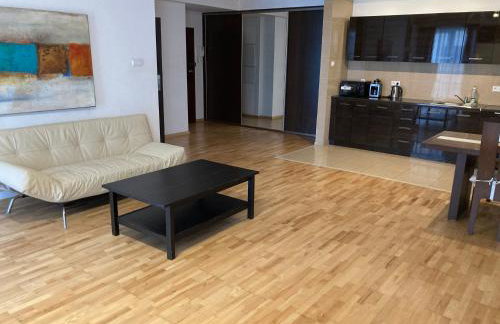 Platinum Towers Hotel Apartments with parking - Foto 6