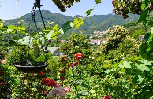 Agriturismo Il Tintore - Foto 31