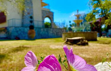 Eirini's ART HOUSE - Foto 22