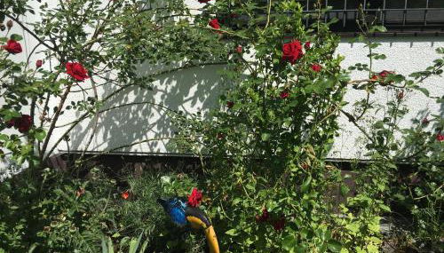 Vor den Toren Bambergs - Einfamilienhaus mit Garten! - Foto 3