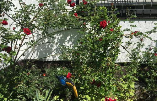 Vor den Toren Bambergs - Einfamilienhaus mit Garten! - Foto 3