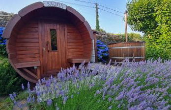 Apartamentos Rurales El Bosque de las Viñas - Photo 51