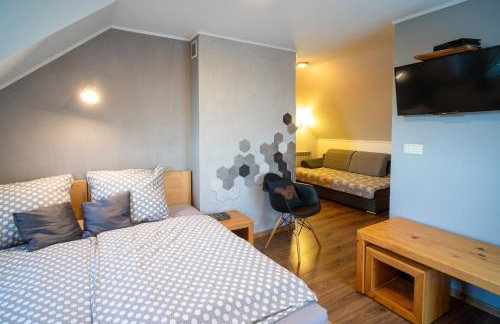 Maniówka - pokoje i domki w Bieszczadach - Foto 7