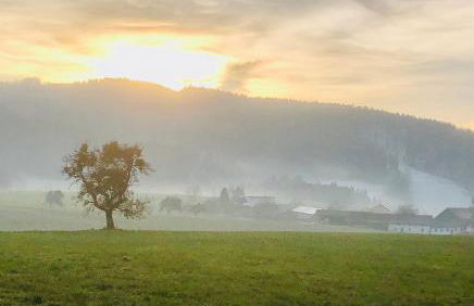 Apartment im Grünen mit Stil - Foto 24