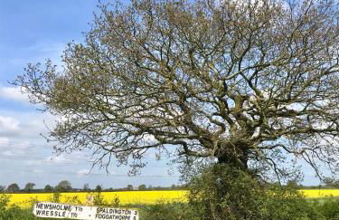 Grange Farm Cottages - Foto 28