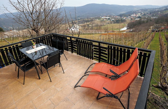 Vineyard cottage Cvitkovič - Foto 13